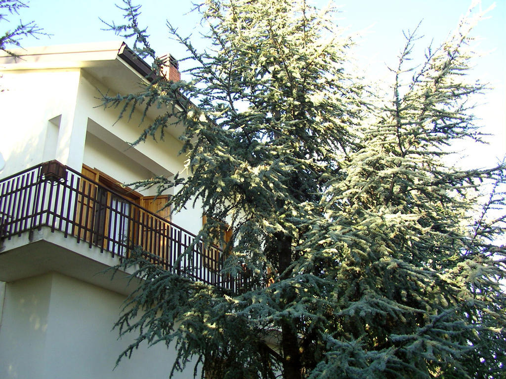 Villa Caterina B&B Pedara Bagian luar foto